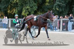 Dateiname=20251012_r09_009_R09_0042.jpg
Dateigröße=312KB
Abmessungen: 1000x667
hinzugefügt am: 15. Oktober 2025 20251012_r09_009_R09_0042.jpg