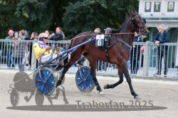 Dateiname=20251012_r09_013_R09_0063.jpg
Dateigröße=312KB
Abmessungen: 1000x667
hinzugefügt am: 15. Oktober 2025 20251012_r09_013_R09_0063.jpg