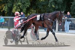 Dateiname=20251012_r09_020_R09_0092.jpg
Dateigröße=301KB
Abmessungen: 1000x667
hinzugefügt am: 15. Oktober 2025 20251012_r09_020_R09_0092.jpg