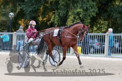 Dateiname=20251012_r09_023_R09_0107.jpg
Dateigröße=311KB
Abmessungen: 1000x667
hinzugefügt am: 15. Oktober 2025 20251012_r09_023_R09_0107.jpg