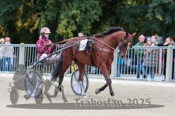 Dateiname=20251012_r09_024_R09_0112.jpg
Dateigröße=310KB
Abmessungen: 1000x667
hinzugefügt am: 15. Oktober 2025 20251012_r09_024_R09_0112.jpg