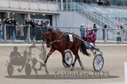 Dateiname=20251012_r09_025_R09_0118.jpg
Dateigröße=274KB
Abmessungen: 1000x667
hinzugefügt am: 15. Oktober 2025 20251012_r09_025_R09_0118.jpg