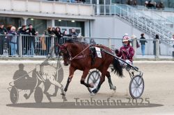 Dateiname=20251012_r09_026_R09_0119.jpg
Dateigröße=285KB
Abmessungen: 1000x667
hinzugefügt am: 15. Oktober 2025 20251012_r09_026_R09_0119.jpg