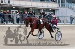 Dateiname=20251012_r09_027_R09_0123.jpg
Dateigröße=290KB
Abmessungen: 1000x667
hinzugefügt am: 15. Oktober 2025 20251012_r09_027_R09_0123.jpg