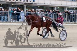 Dateiname=20251012_r09_028_R09_0127.jpg
Dateigröße=293KB
Abmessungen: 1000x667
hinzugefügt am: 15. Oktober 2025 20251012_r09_028_R09_0127.jpg