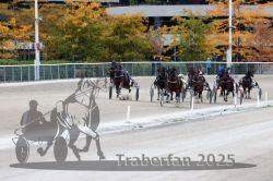 Dateiname=20251012_r09_100_R09_0309.jpg
Dateigröße=325KB
Abmessungen: 1000x667
hinzugefügt am: 15. Oktober 2025 20251012_r09_100_R09_0309.jpg