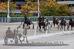 Dateiname=20251012_r09_101_R09_0312.jpg
Dateigröße=287KB
Abmessungen: 1000x667
hinzugefügt am: 15. Oktober 2025 20251012_r09_101_R09_0312.jpg