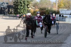 Dateiname=20251026_mt_001_MTT_0002.jpg
Dateigröße=323KB
Abmessungen: 1000x667
hinzugefügt am: 27. Oktober 2025 20251026_mt_001_MTT_0002.jpg