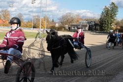 Dateiname=20251026_mt_007_MTT_0026.jpg
Dateigröße=336KB
Abmessungen: 1000x667
hinzugefügt am: 27. Oktober 2025 20251026_mt_007_MTT_0026.jpg