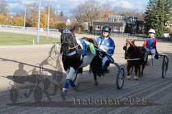 Dateiname=20251026_mt_011_MTT_0037.jpg
Dateigröße=340KB
Abmessungen: 1000x667
hinzugefügt am: 27. Oktober 2025 20251026_mt_011_MTT_0037.jpg