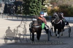 Dateiname=20251026_mt_018_MTT_0055.jpg
Dateigröße=324KB
Abmessungen: 1000x667
hinzugefügt am: 27. Oktober 2025 20251026_mt_018_MTT_0055.jpg