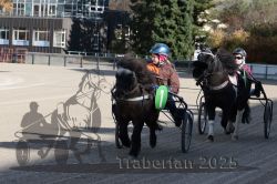 Dateiname=20251026_mt_021_MTT_0066.jpg
Dateigröße=320KB
Abmessungen: 1000x667
hinzugefügt am: 27. Oktober 2025 20251026_mt_021_MTT_0066.jpg