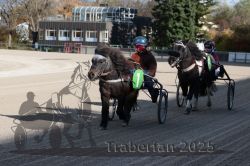 Dateiname=20251026_mt_022_MTT_0070.jpg
Dateigröße=313KB
Abmessungen: 1000x667
hinzugefügt am: 27. Oktober 2025 20251026_mt_022_MTT_0070.jpg