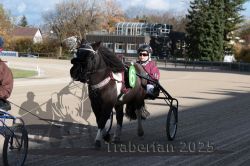 Dateiname=20251026_mt_026_MTT_0082.jpg
Dateigröße=317KB
Abmessungen: 1000x667
hinzugefügt am: 27. Oktober 2025 20251026_mt_026_MTT_0082.jpg