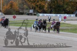 Dateiname=20251026_mt_029_MTT_0093.jpg
Dateigröße=270KB
Abmessungen: 1000x667
hinzugefügt am: 27. Oktober 2025 20251026_mt_029_MTT_0093.jpg