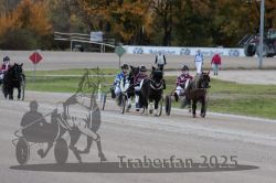 Dateiname=20251026_mt_030_MTT_0097.jpg
Dateigröße=267KB
Abmessungen: 1000x667
hinzugefügt am: 27. Oktober 2025 20251026_mt_030_MTT_0097.jpg