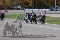 Dateiname=20251026_mt_031_MTT_0100.jpg
Dateigröße=259KB
Abmessungen: 1000x667
hinzugefügt am: 27. Oktober 2025 20251026_mt_031_MTT_0100.jpg