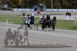 Dateiname=20251026_mt_032_MTT_0103.jpg
Dateigröße=252KB
Abmessungen: 1000x667
hinzugefügt am: 27. Oktober 2025 20251026_mt_032_MTT_0103.jpg