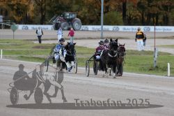 Dateiname=20251026_mt_034_MTT_0110.jpg
Dateigröße=261KB
Abmessungen: 1000x667
hinzugefügt am: 27. Oktober 2025 20251026_mt_034_MTT_0110.jpg