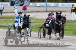 Dateiname=20251026_mt_035_MTT_0112.jpg
Dateigröße=290KB
Abmessungen: 1000x667
hinzugefügt am: 27. Oktober 2025 20251026_mt_035_MTT_0112.jpg