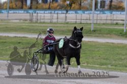 Dateiname=20251026_mt_036_MTT_0113.jpg
Dateigröße=243KB
Abmessungen: 1000x667
hinzugefügt am: 27. Oktober 2025 20251026_mt_036_MTT_0113.jpg