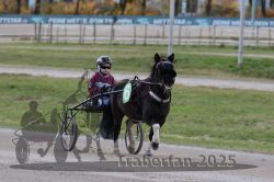 Dateiname=20251026_mt_037_MTT_0115.jpg
Dateigröße=243KB
Abmessungen: 1000x667
hinzugefügt am: 27. Oktober 2025 20251026_mt_037_MTT_0115.jpg