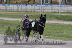 Dateiname=20251026_mt_038_MTT_0116.jpg
Dateigröße=243KB
Abmessungen: 1000x667
hinzugefügt am: 27. Oktober 2025 20251026_mt_038_MTT_0116.jpg