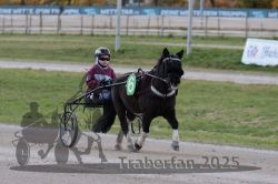 Dateiname=20251026_mt_039_MTT_0119.jpg
Dateigröße=248KB
Abmessungen: 1000x667
hinzugefügt am: 27. Oktober 2025 20251026_mt_039_MTT_0119.jpg