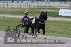 Dateiname=20251026_mt_040_MTT_0120.jpg
Dateigröße=245KB
Abmessungen: 1000x667
hinzugefügt am: 27. Oktober 2025 20251026_mt_040_MTT_0120.jpg