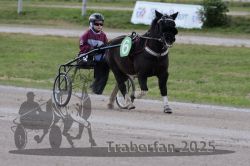 Dateiname=20251026_mt_041_MTT_0126.jpg
Dateigröße=238KB
Abmessungen: 1000x667
hinzugefügt am: 27. Oktober 2025 20251026_mt_041_MTT_0126.jpg