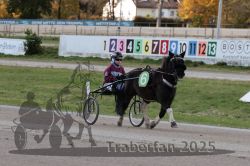 Dateiname=20251026_mt_042_MTT_0129.jpg
Dateigröße=278KB
Abmessungen: 1000x667
hinzugefügt am: 27. Oktober 2025 20251026_mt_042_MTT_0129.jpg