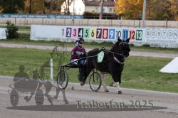 Dateiname=20251026_mt_043_MTT_0130.jpg
Dateigröße=284KB
Abmessungen: 1000x667
hinzugefügt am: 27. Oktober 2025 20251026_mt_043_MTT_0130.jpg