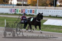 Dateiname=20251026_mt_044_MTT_0133.jpg
Dateigröße=284KB
Abmessungen: 1000x667
hinzugefügt am: 27. Oktober 2025 20251026_mt_044_MTT_0133.jpg