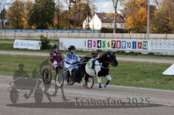 Dateiname=20251026_mt_045_MTT_0137.jpg
Dateigröße=337KB
Abmessungen: 1000x667
hinzugefügt am: 27. Oktober 2025 20251026_mt_045_MTT_0137.jpg