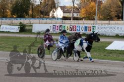 Dateiname=20251026_mt_047_MTT_0142.jpg
Dateigröße=324KB
Abmessungen: 1000x667
hinzugefügt am: 27. Oktober 2025 20251026_mt_047_MTT_0142.jpg