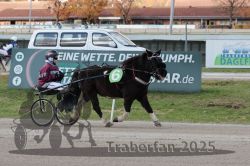 Dateiname=20251026_mt_048_MTT_0148.jpg
Dateigröße=304KB
Abmessungen: 1000x667
hinzugefügt am: 27. Oktober 2025 20251026_mt_048_MTT_0148.jpg