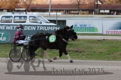 Dateiname=20251026_mt_049_MTT_0152.jpg
Dateigröße=307KB
Abmessungen: 1000x667
hinzugefügt am: 27. Oktober 2025 20251026_mt_049_MTT_0152.jpg