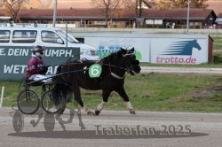 Dateiname=20251026_mt_050_MTT_0155.jpg
Dateigröße=309KB
Abmessungen: 1000x667
hinzugefügt am: 27. Oktober 2025 20251026_mt_050_MTT_0155.jpg