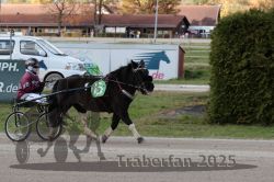 Dateiname=20251026_mt_052_MTT_0159.jpg
Dateigröße=302KB
Abmessungen: 1000x667
hinzugefügt am: 27. Oktober 2025 20251026_mt_052_MTT_0159.jpg