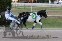 Dateiname=20251026_mt_054_MTT_0185.jpg
Dateigröße=283KB
Abmessungen: 1000x667
hinzugefügt am: 27. Oktober 2025 20251026_mt_054_MTT_0185.jpg