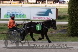 Dateiname=20251026_mt_060_MTT_0207.jpg
Dateigröße=302KB
Abmessungen: 1000x667
hinzugefügt am: 27. Oktober 2025 20251026_mt_060_MTT_0207.jpg