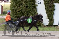 Dateiname=20251026_mt_062_MTT_0217.jpg
Dateigröße=335KB
Abmessungen: 1000x667
hinzugefügt am: 27. Oktober 2025 20251026_mt_062_MTT_0217.jpg