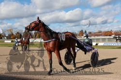 Dateiname=20251026_qu1_002_QU1_0006.jpg
Dateigröße=350KB
Abmessungen: 1000x667
hinzugefügt am: 27. Oktober 2025 20251026_qu1_002_QU1_0006.jpg