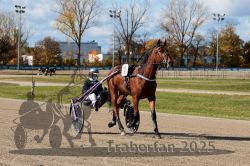 Dateiname=20251026_qu1_003_QU1_0009.jpg
Dateigröße=402KB
Abmessungen: 1000x667
hinzugefügt am: 27. Oktober 2025 20251026_qu1_003_QU1_0009.jpg