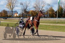 Dateiname=20251026_qu1_004_QU1_0013.jpg
Dateigröße=400KB
Abmessungen: 1000x667
hinzugefügt am: 27. Oktober 2025 20251026_qu1_004_QU1_0013.jpg