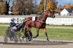 Dateiname=20251026_qu1_005_QU1_0019.jpg
Dateigröße=385KB
Abmessungen: 1000x667
hinzugefügt am: 27. Oktober 2025 20251026_qu1_005_QU1_0019.jpg