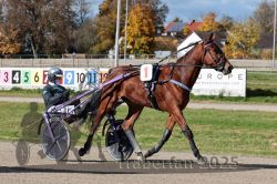 Dateiname=20251026_qu1_006_QU1_0023.jpg
Dateigröße=386KB
Abmessungen: 1000x667
hinzugefügt am: 27. Oktober 2025 20251026_qu1_006_QU1_0023.jpg