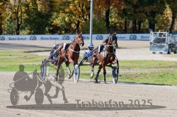 Dateiname=20251026_qu1_007_QU1_0027.jpg
Dateigröße=364KB
Abmessungen: 1000x667
hinzugefügt am: 27. Oktober 2025 20251026_qu1_007_QU1_0027.jpg