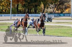 Dateiname=20251026_qu1_009_QU1_0036.jpg
Dateigröße=352KB
Abmessungen: 1000x667
hinzugefügt am: 27. Oktober 2025 20251026_qu1_009_QU1_0036.jpg