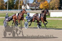 Dateiname=20251026_qu1_013_QU1_0057.jpg
Dateigröße=399KB
Abmessungen: 1000x667
hinzugefügt am: 27. Oktober 2025 20251026_qu1_013_QU1_0057.jpg